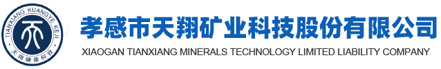 安徽龍華化工股份有限公司企業年度報告